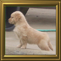 shilo_website_041125002001.jpg