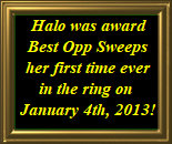 shilo_website_041125003021.jpg