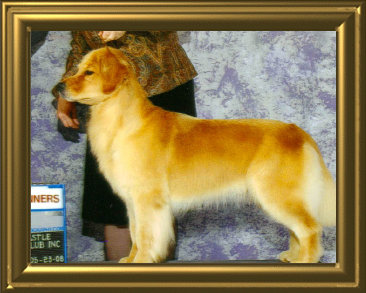 shilo_website_041125003039.jpg
