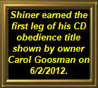 shilo_website_041125005004.jpg