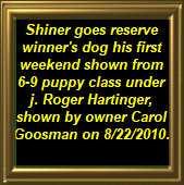shilo_website_041125005030.jpg