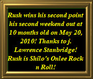 shilo_website_041125005043.jpg